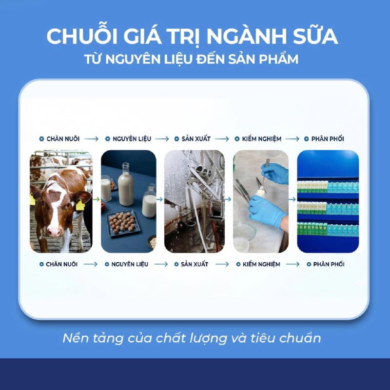 Chuỗi giá trị ngành sữa
