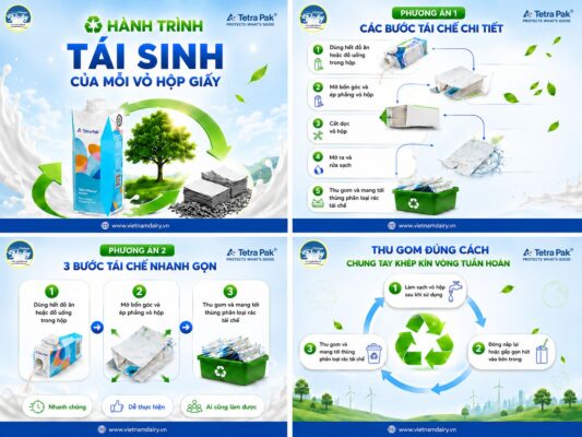 Trải nghiệm 5 bước thu gom và tái sinh vỏ hộp giấy cùng Tetra Pak tại Ngày Sữa Thế giới 2026.